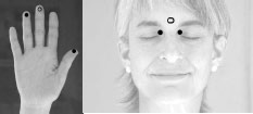 TAT - Tapas Acupressure Technique